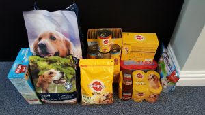Supporting DOTS (Dogs on the Streets)